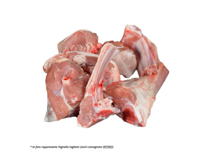 Agnello busto nazionale 4.5/6.5 kg