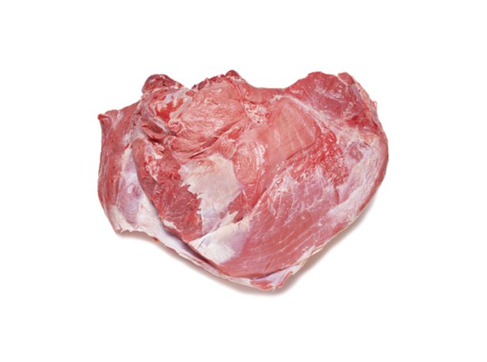 Fesa pl scottona l.polo