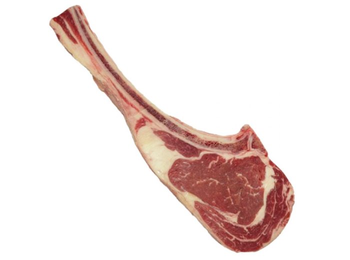 Tomahawk polonia scottona