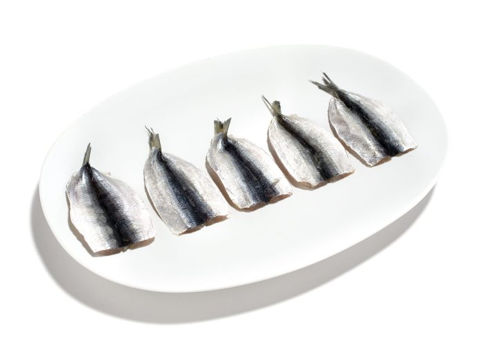 Filetto alaccia indopacifica butterfly