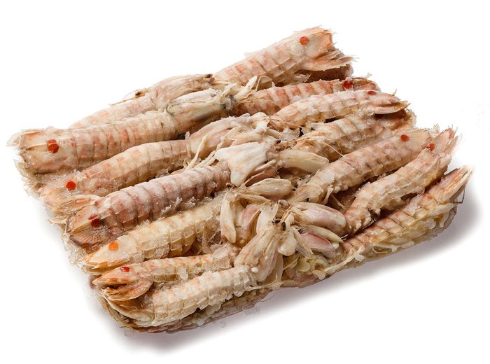 Canocchia nostrana gigante precotta