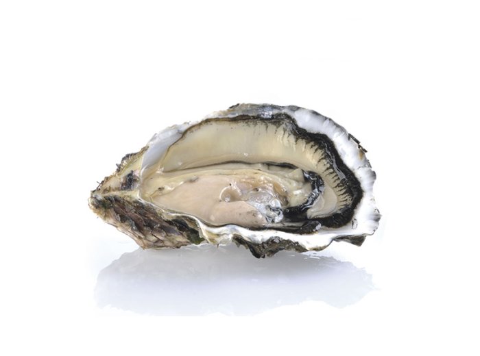 Ostrica concava m/g 48pz/ct bretagna