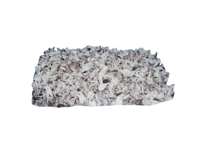 Calamaro del pacifico ciuffo