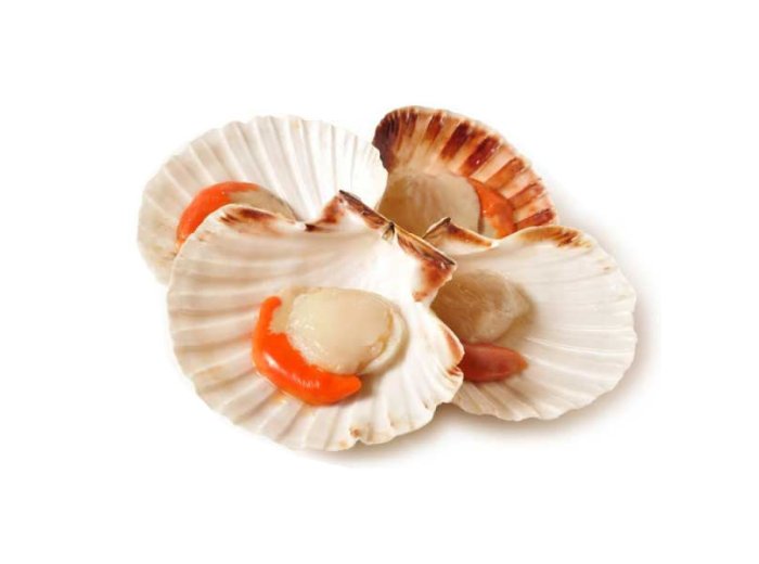 Cappasanta m/g 30/40pz/kg