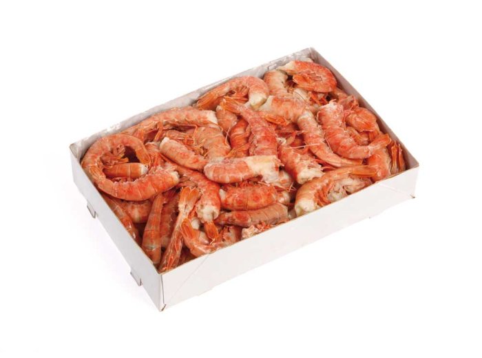 Gambero coda c/g arg rotos