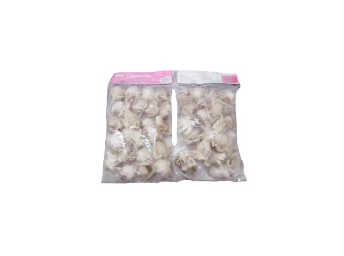 Polpo indopacifico 40/60 pz/kg