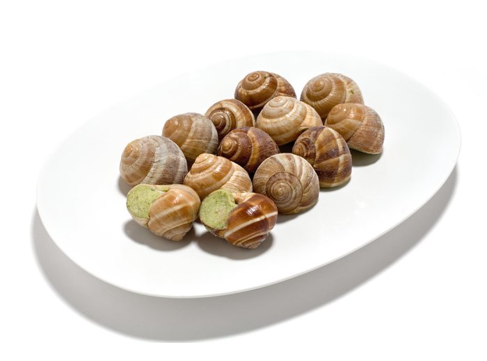 Lumaca alla borgogna 50pz/cf