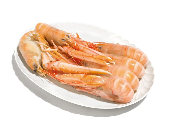 Scampo 4/7 pz/kg laeso dk