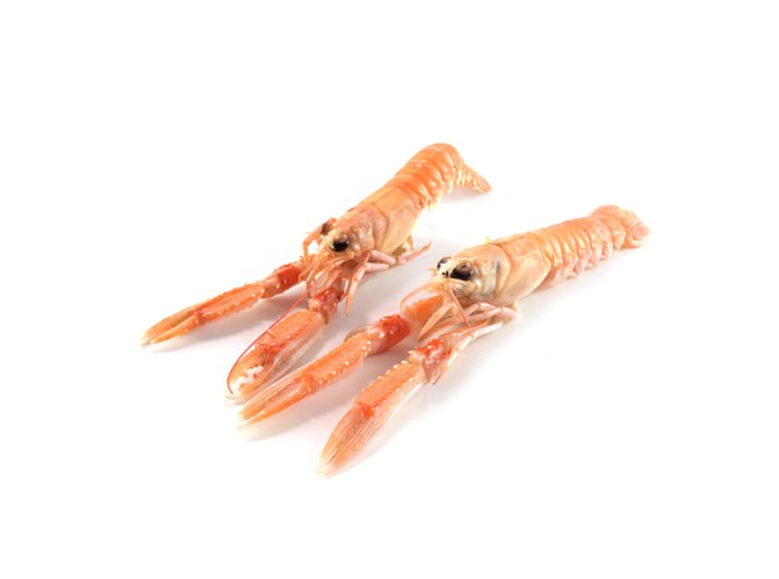 Scampo 30/40pz/kg cong.vivo