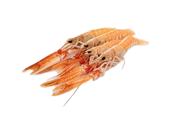 Scampo 30/40pz/kg dk