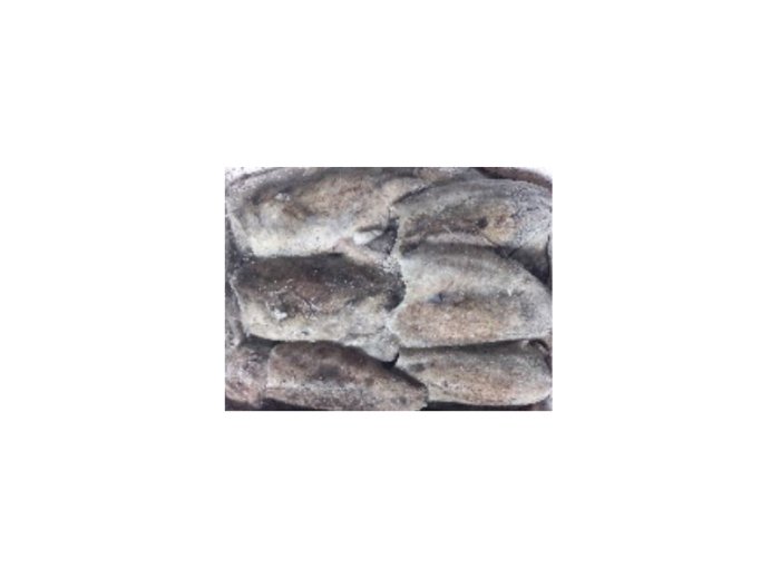 Seppia sporca 100/200 c/bordo