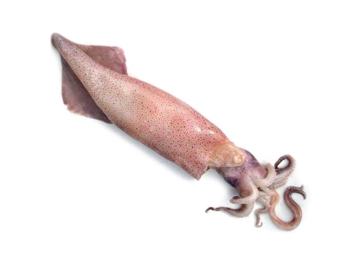 Calamaro sporco 200/500 gr francia