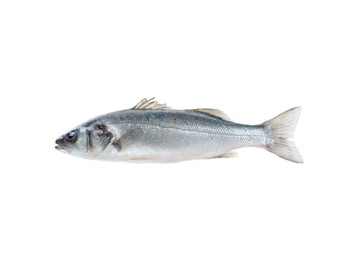 Branzino 600/800 croazia