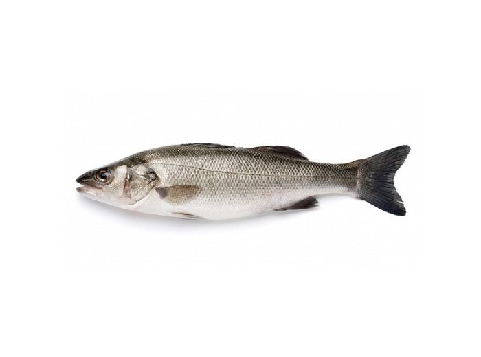 Branzino 300/400 turchia