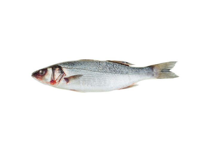 Branzino 400/600 turchia