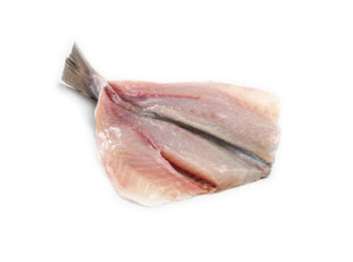 Orata 400/600 butterfly grecia