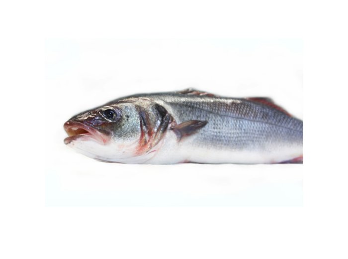 Branzino 800/1000 croazia
