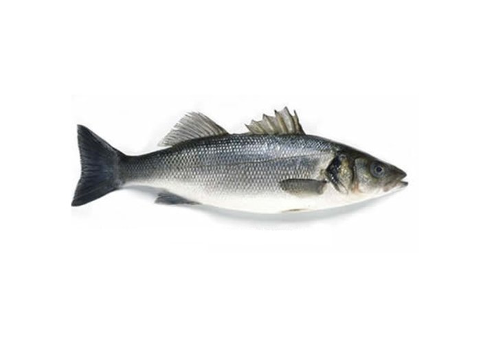 Branzino 800/1000 grecia