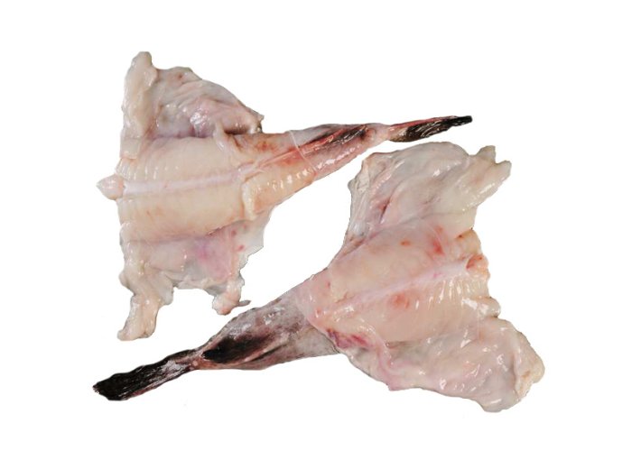 Rana pescatrice coda 1000/2000