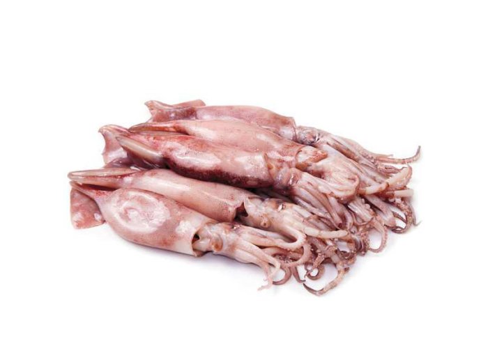 Calamaretto (spillo) italia