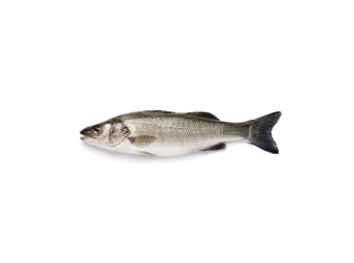 Branzino 200/300 turchia