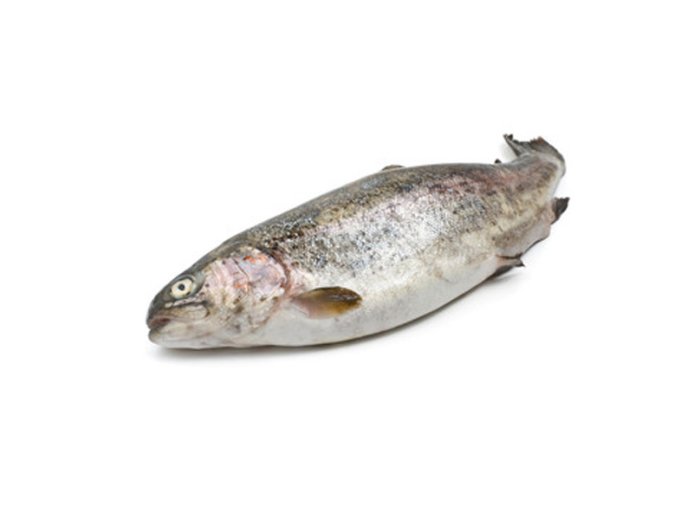 Trota iridea bianca italia