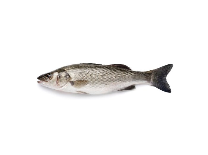 Branzino 200/300 grecia