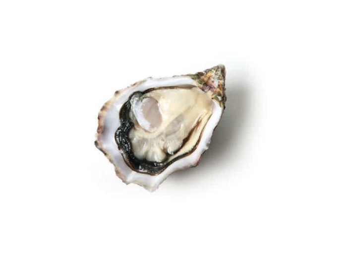 Ostrica krystale francia