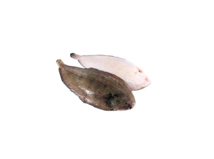 Sogliola piccola 13pz/kg italia