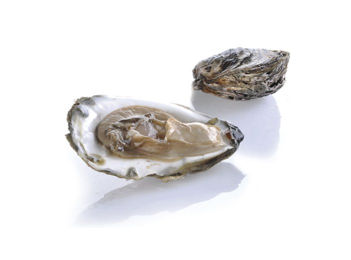 Ostrica piatta special belon francia