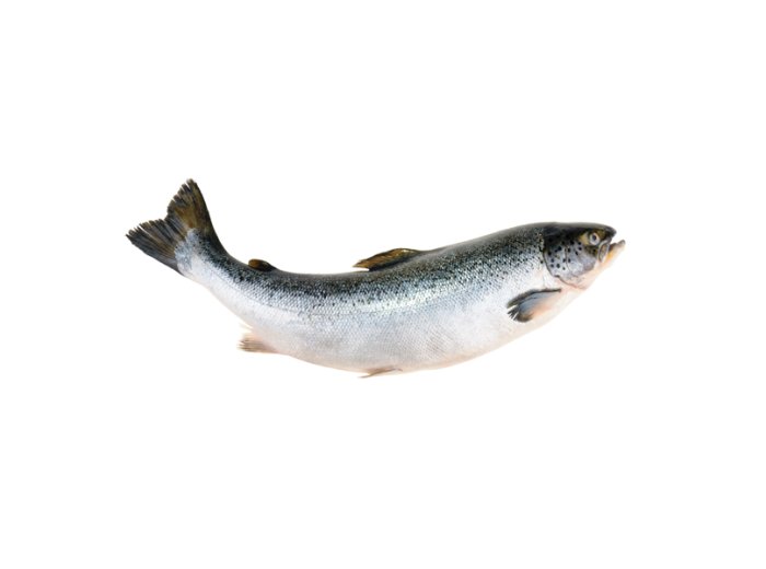 Salmone sup ev 7/8 norvegia