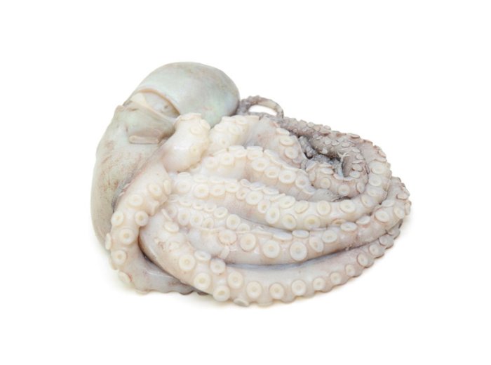 Polpo 500/800 dec messico