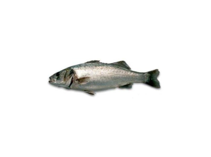 Branzino 600/800 turchia