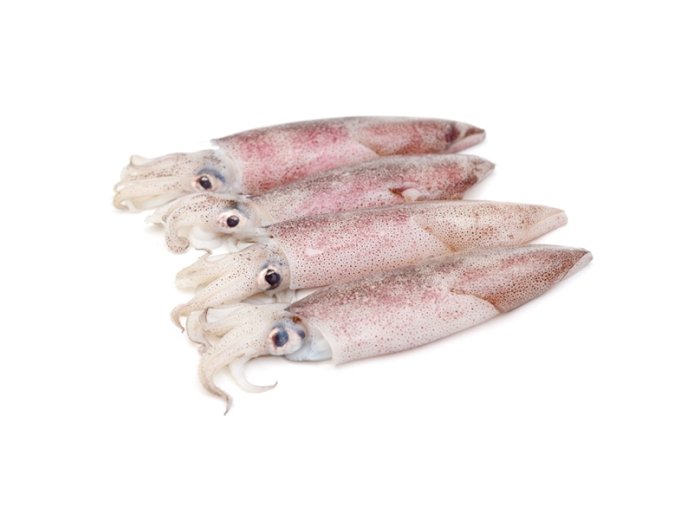 Calamaro patagonico c4 sporco dec