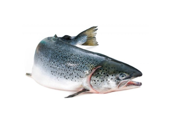 Salmone sup ev 6/7 cassa norvegia