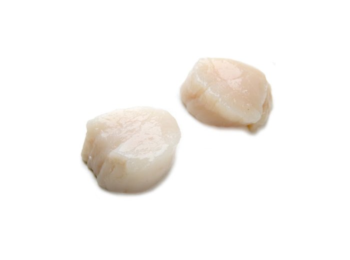 Cappasanta atlantica polpa in vaso