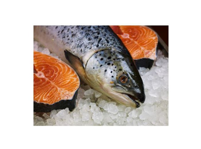 Salmone sup ev 5/6 cassa norvegia