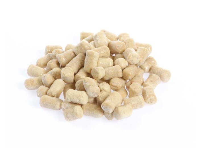 Gnocchi casarecci alle castagne