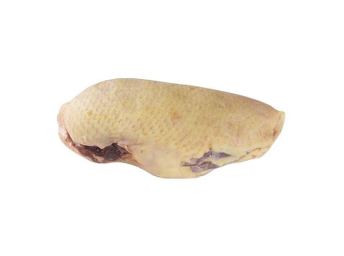 Petto d'anatra maschio