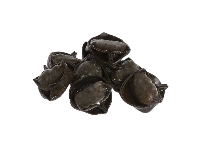 Tortelli neri al branzino checco pastaio