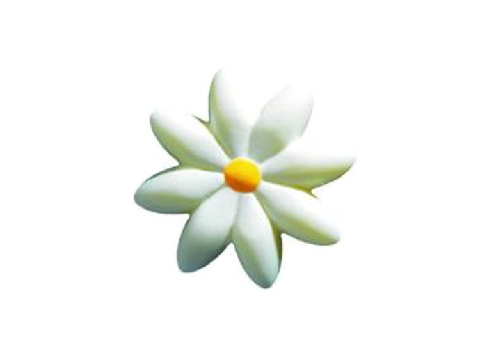 Fiore margherita choc bianca