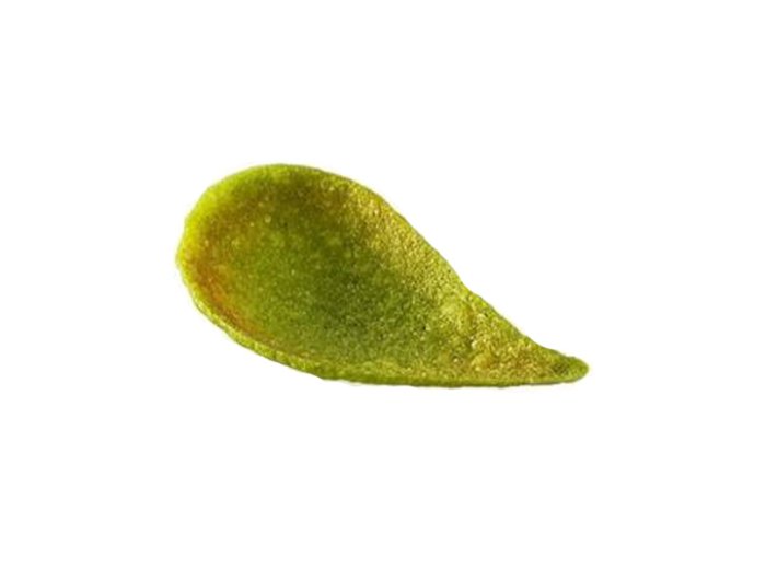 Goccia verde gusto spinaci