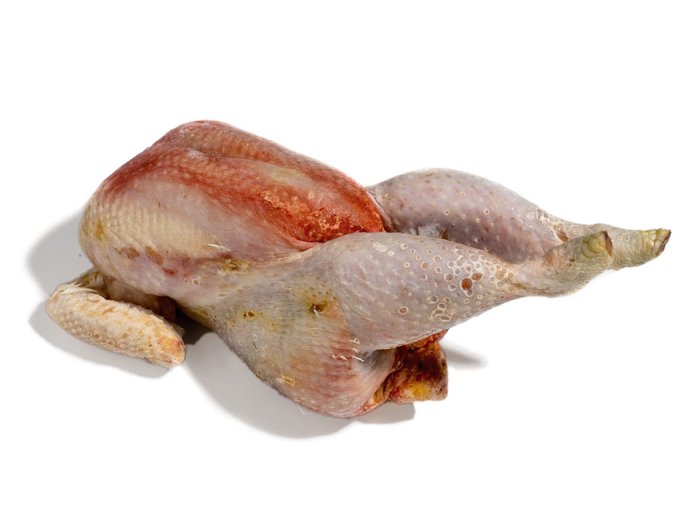 Gallina a busto grossa nazionale