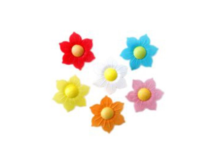 Narcisi in wafer assortiti