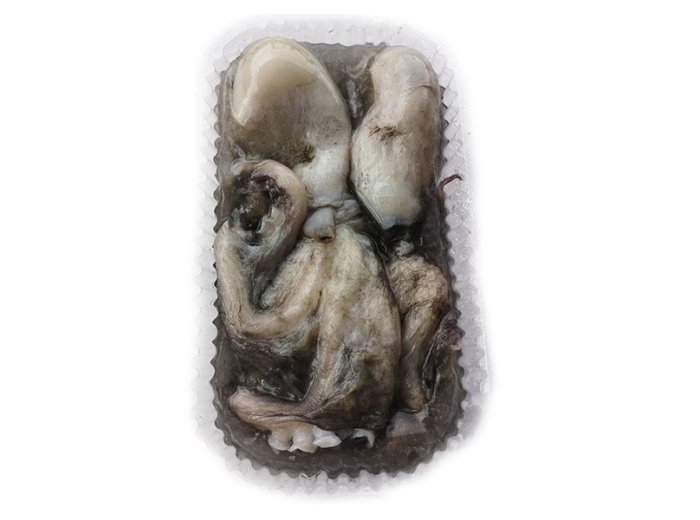 Moscardino 300/500 gr nostrano blk