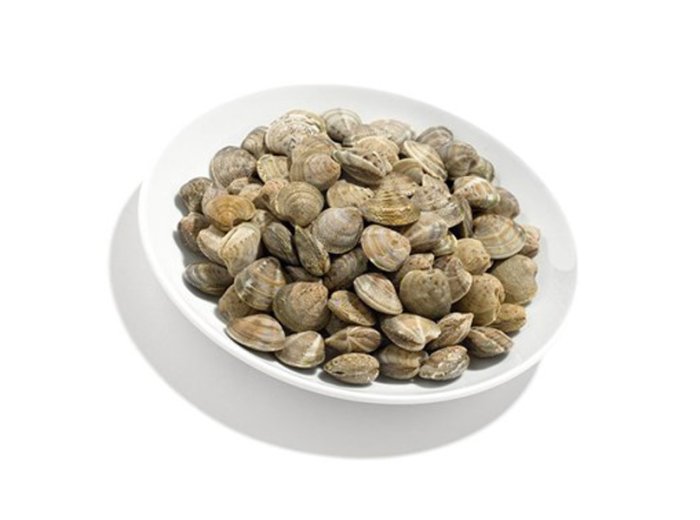 Vongola verace c/g portogallo