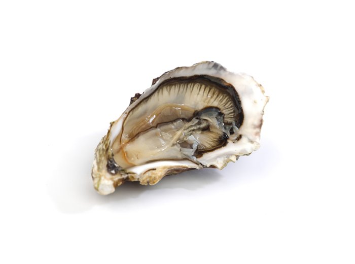 Ostrica grand cru ostra regal sp irlanda