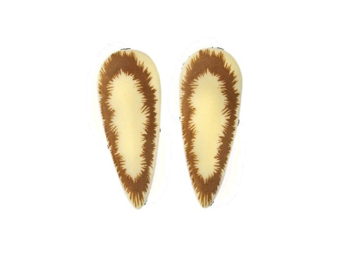 Orecchiette bunny soft choc