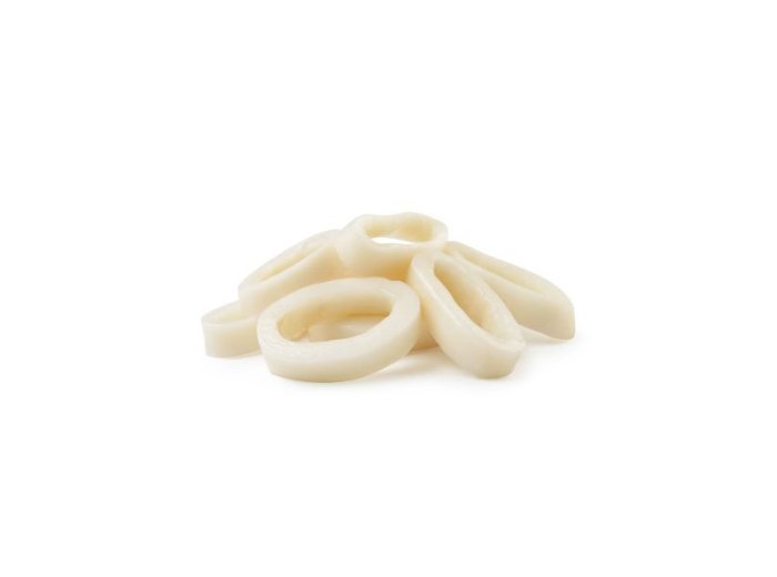 Totano gigante del pacifico anello