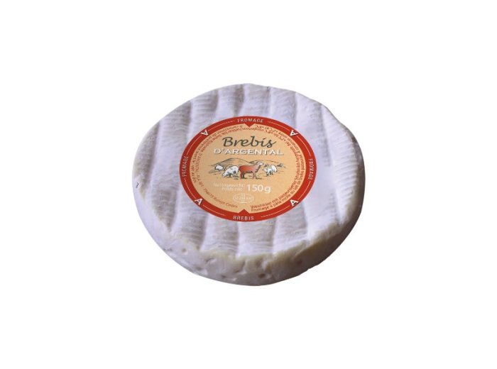 Petit brebis d'argental 70j